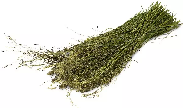 JR FARM ESN Récolte d herbes sauvages