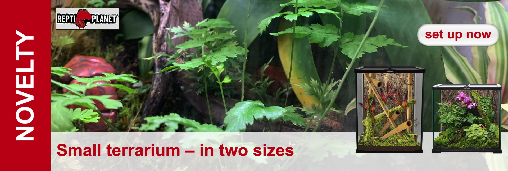 Two small, furnished terrariums with plants and decorations against a background of jungle plants.