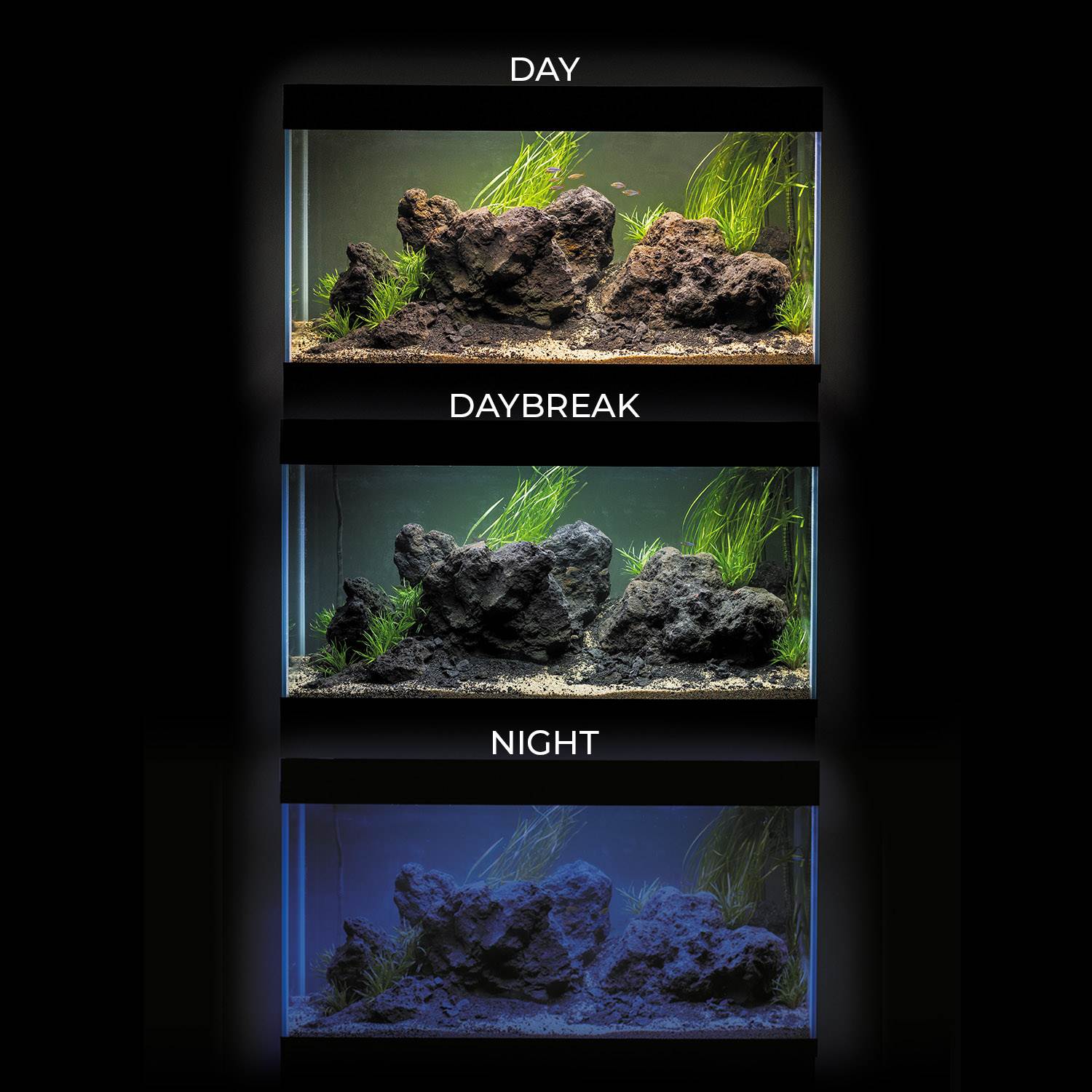 Combinaison d'aquariums Optiset