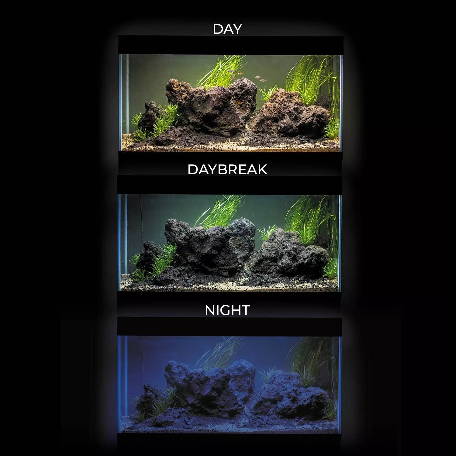 Aquarienkombination Optiset Aquarienkombination Optiset