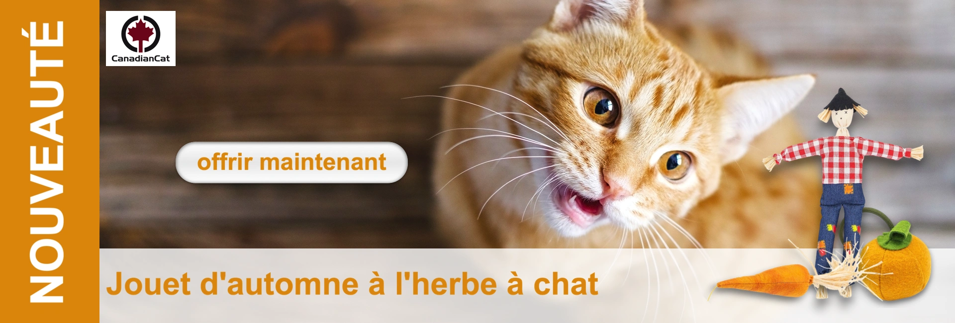 Gros plan sur un chat couleur gingembre avec des jouets, dont une poupée épouvantail, une carotte et une citrouille.