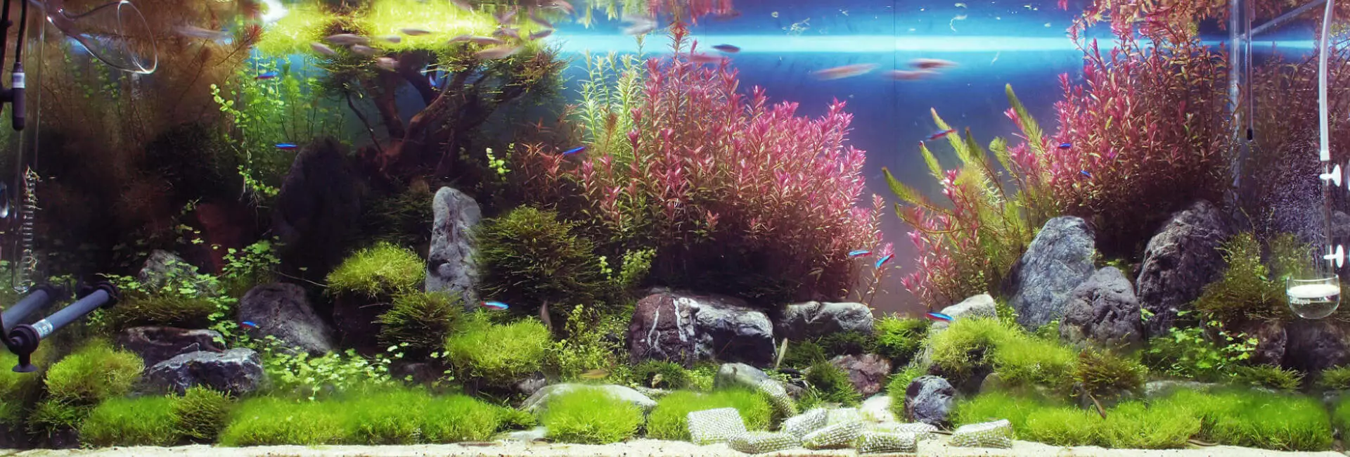 Aquarium Möbel Aquarium Möbel