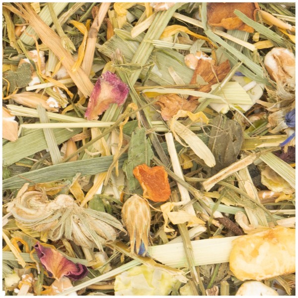 Nahaufnahme einer bunten Mischung aus getrockneten Pflanzenmaterialien. Grüne und gelbliche Grashalme sind vermischt mit roten Rosenblüten, hellbraunen Blütenköpfen, kleinen orangefarbenen Karottenstücken und Getreidekörnern.