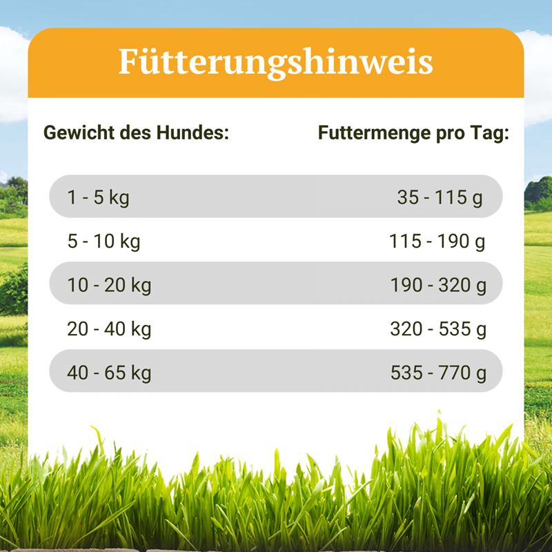 Bellfor Landgut-Schmaus - with insects