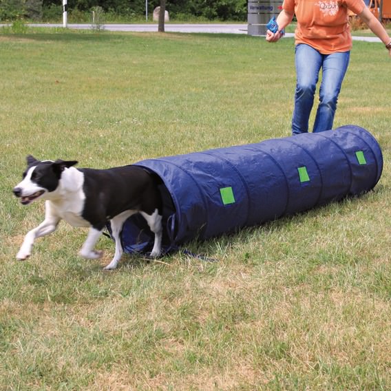 Agility tunnel pour chiots et chiens de petite taille, nylon