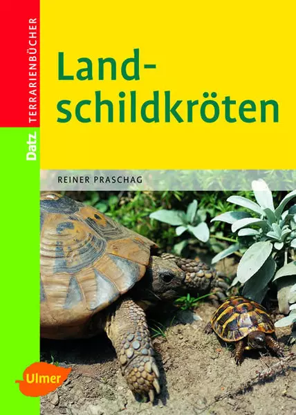 Ulmer, Landschildkröten