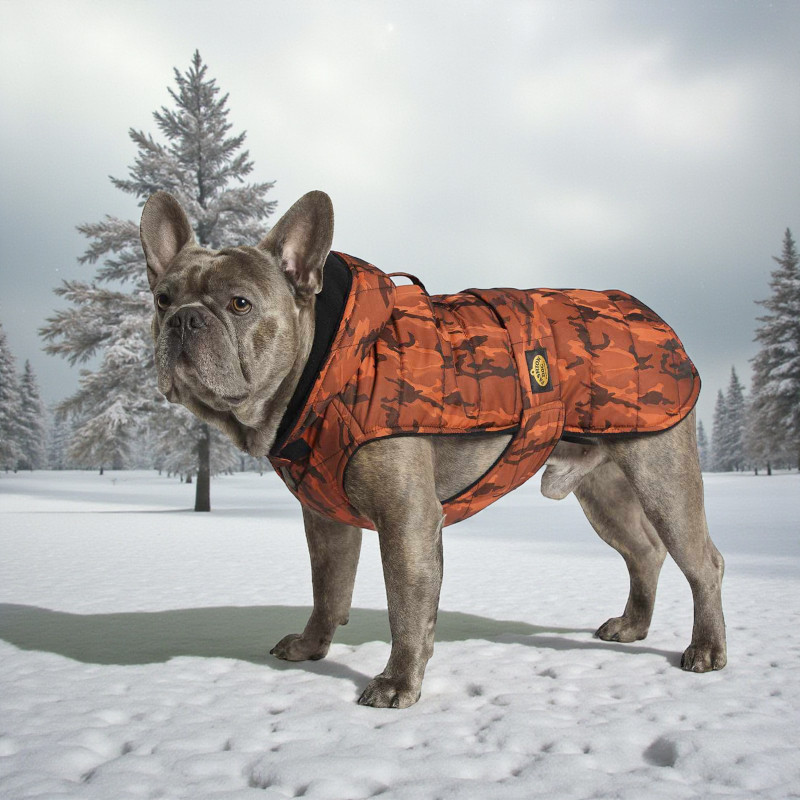 Quilted coat Bulldog mottled