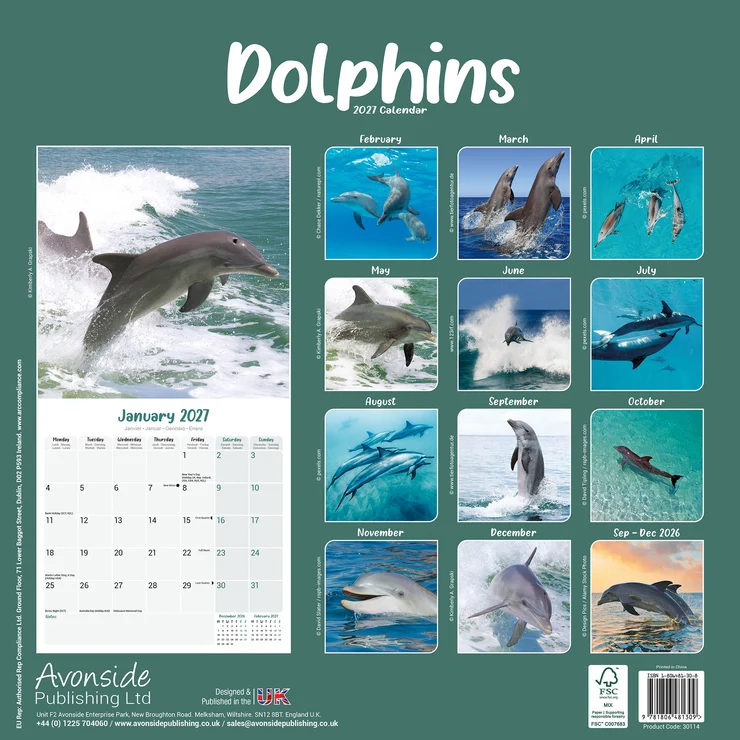 Kalender 2027 Delfine - Dolphins - Delphine