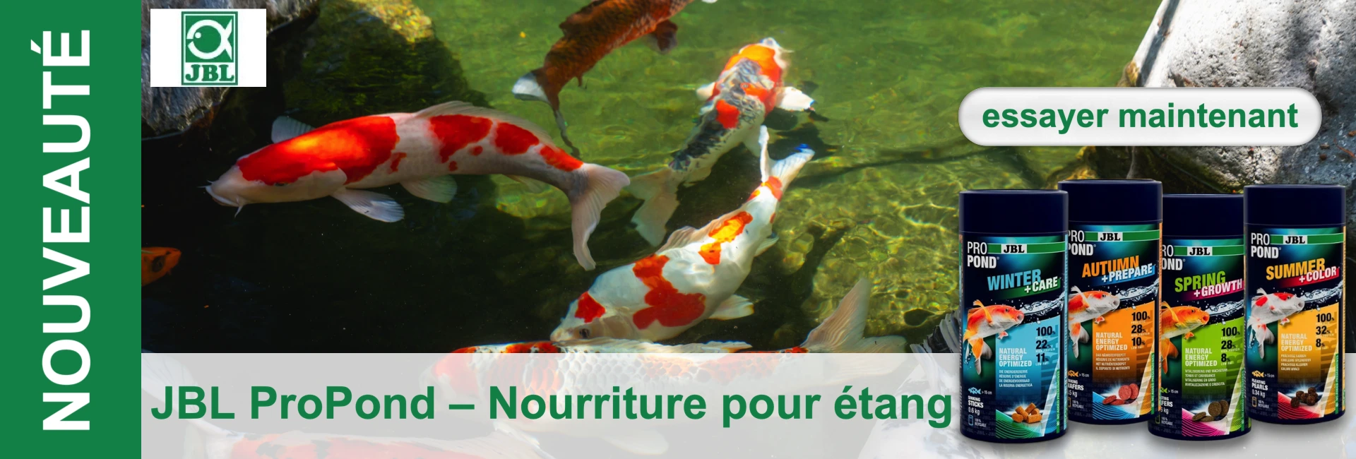 Des carpes koï nagent dans un étang, à côté d'une série de récipients d'aliments JBL ProPond et d'un bouton "essayer maintenant".