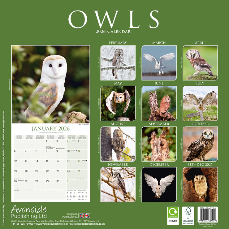 Calendar 2025 Owls