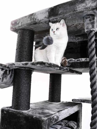 Gatto bianco dagli occhi blu intensi seduto in cima a un tiragraffi grigio. Guarda attentamente verso destra, mentre un giocattolo di peluche grigio con delle piume pende dalla piattaforma. Tiragraffi soffice, colonne rivestite di sisal.