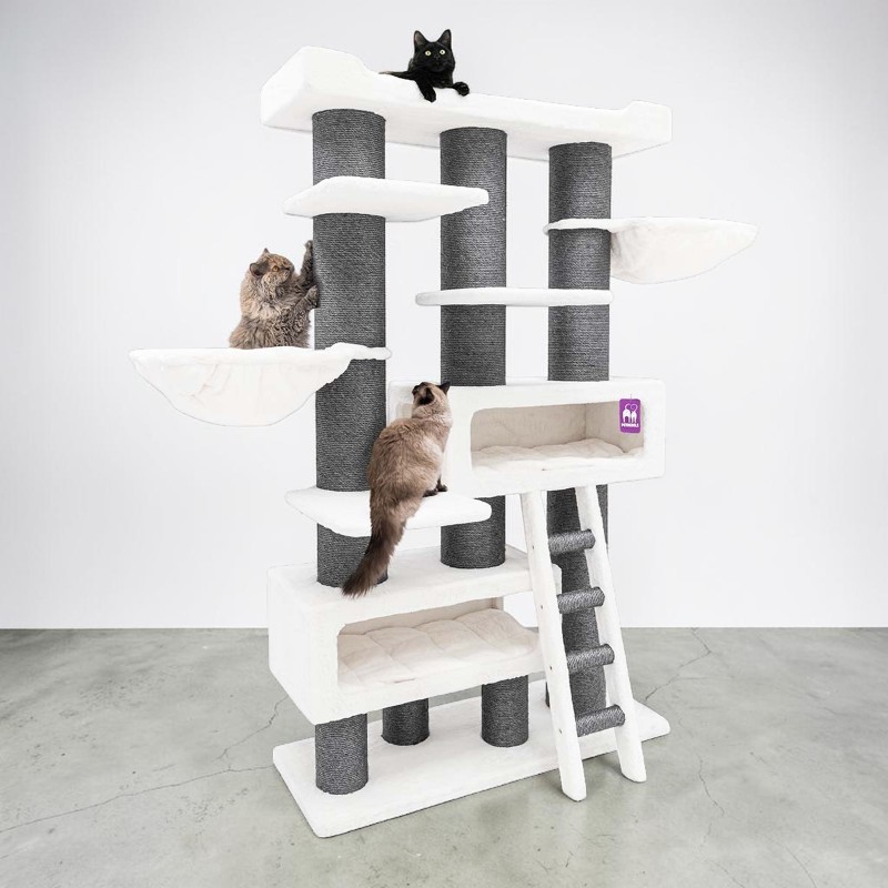 Tiragraffi alto a più livelli, con tronchi in sisal Off White e grigio scuro. Un gatto nero è sdraiato in cima, uno marrone graffia il tronco, uno marrone chiaro sale nella casetta. XXL con superfici, casette e amache.