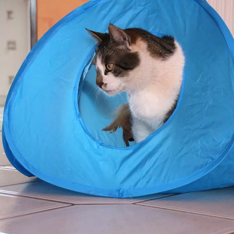 Pounce House - Zelt mit Spielzeug Pounce House - Zelt mit Spielzeug