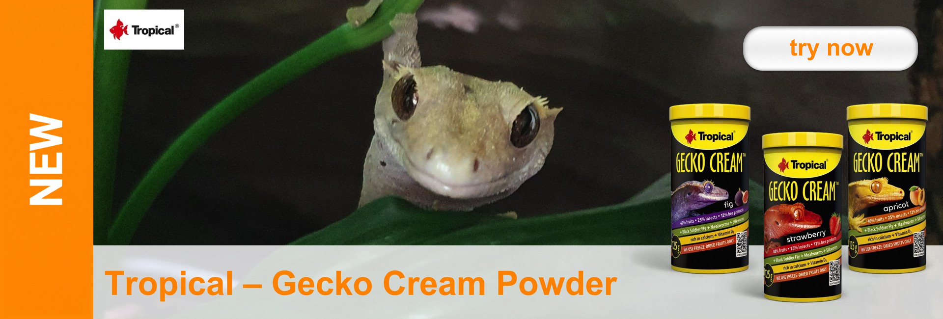 A crested gecko peeks out from behind a green leaf. Next to it are three tins of ‘Tropical Gecko Cream Powder’ (fig, strawberry, apricot). Left: NEW. Below: Tropical – GECKO CREAM POWDER.