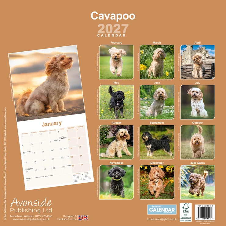 Kalender 2027 Cavapoo