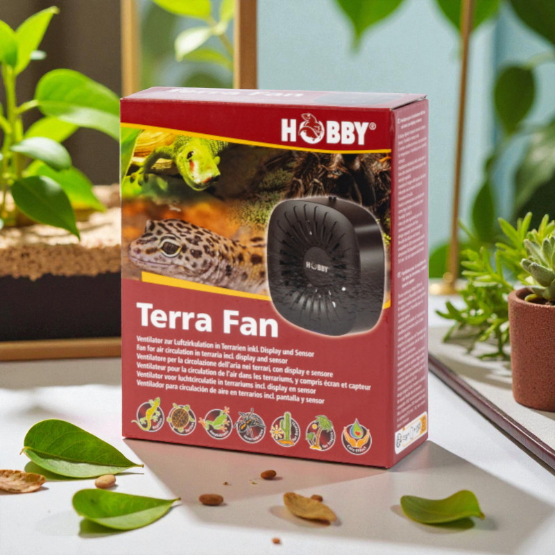 Hobby Terra Fun 