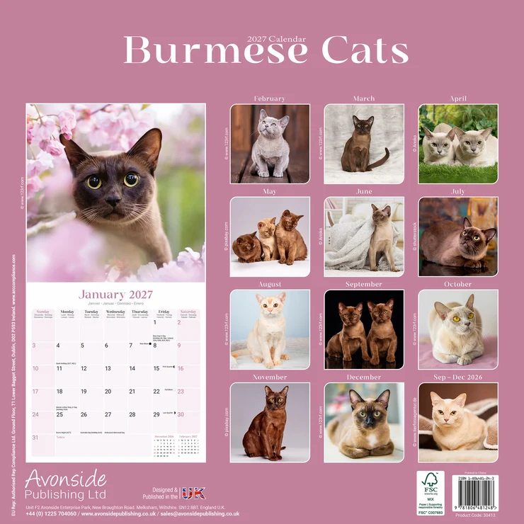 Kalender 2027 Burma-Katze - Burmese Cats