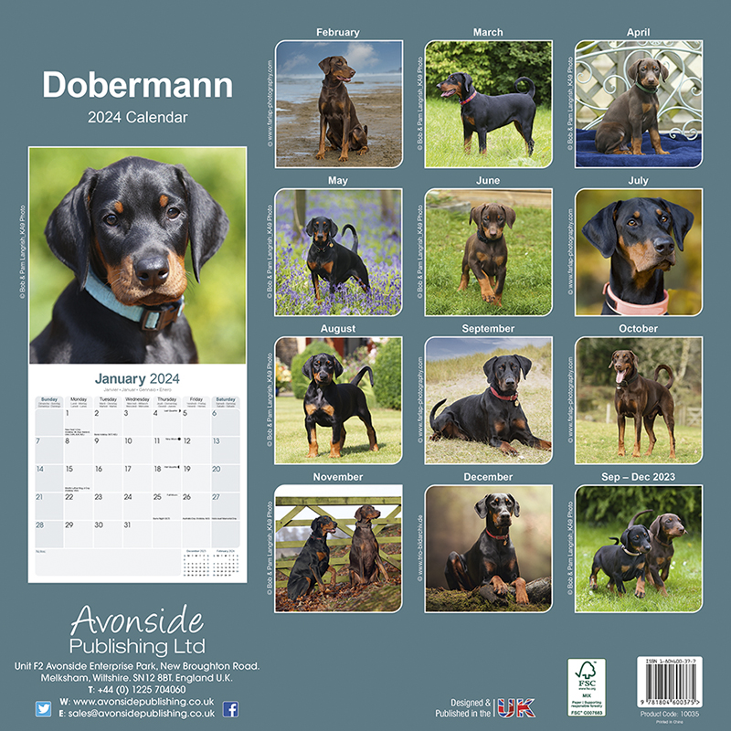 Calendar 2024 Doberman