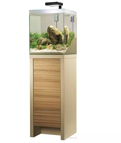 Fluval Fresh F35 Süsswasser Kombination, 58 Liter.jpg