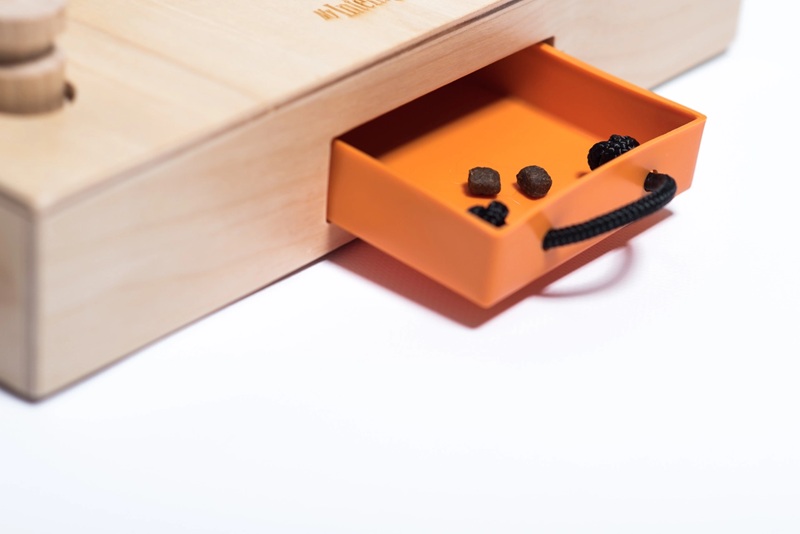 My Intelligent Pets - Turtle