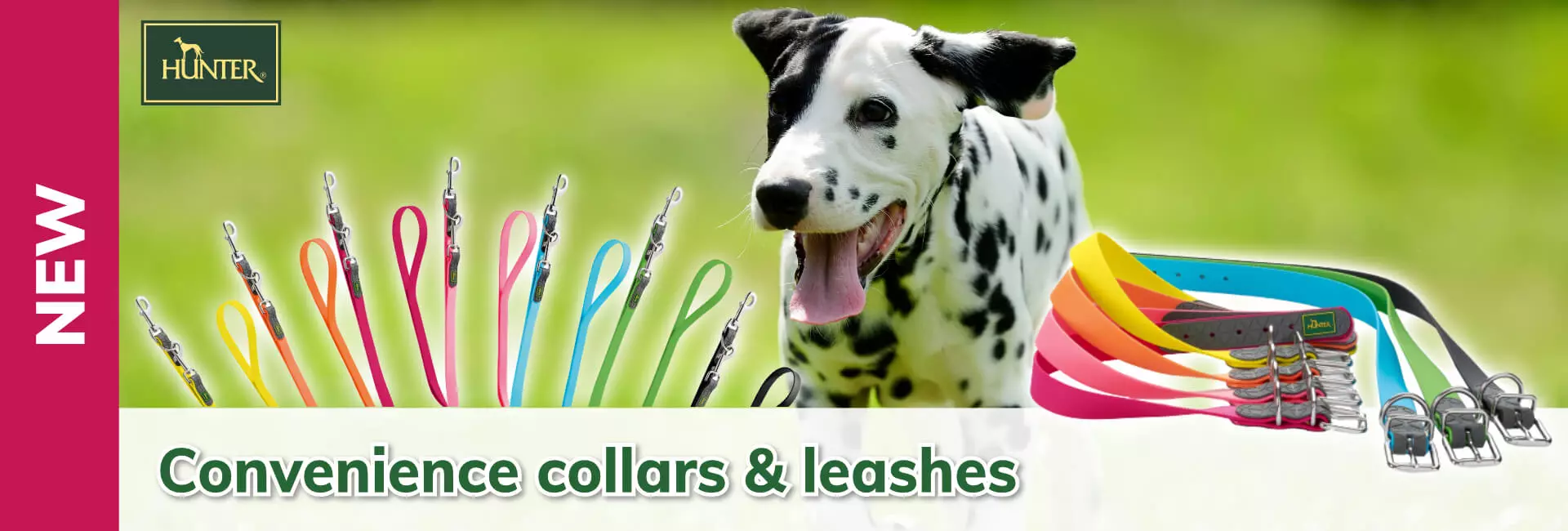 Hunter Convenience collars & leashes