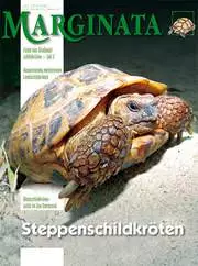 Marginata 41 - Steppenschildkröten