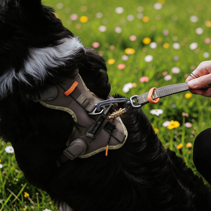 Ein schwarzer Hund mit weißem Halsfell trägt ein graugrünes HUNTER ErgoMove Pro Hundegeschirr, über einen stabilen Aluminium-Sicherheitskarabiner mit passender Leine verbunden. Eine Hand hält die Leine. Hund sitzt auf Wiese.