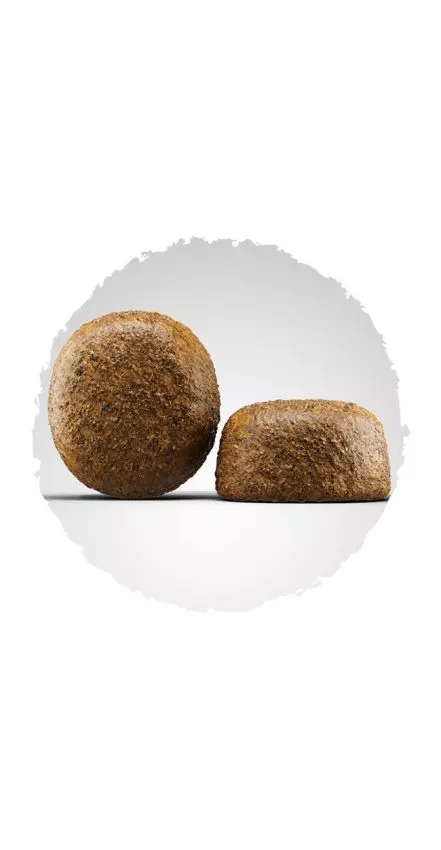 Josera Large Breed 12.5kg Josera Large Breed 12.5kg
