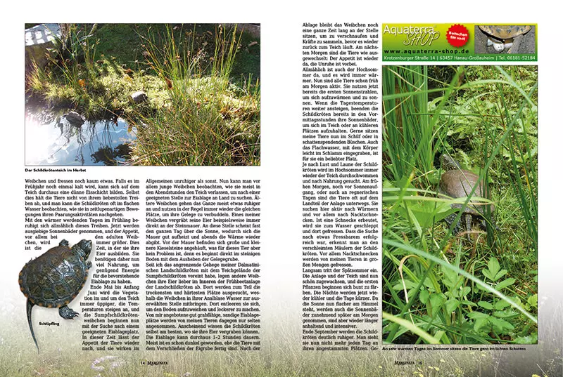 Marginata 46 - Die Europäische Sumpfschildkröte
