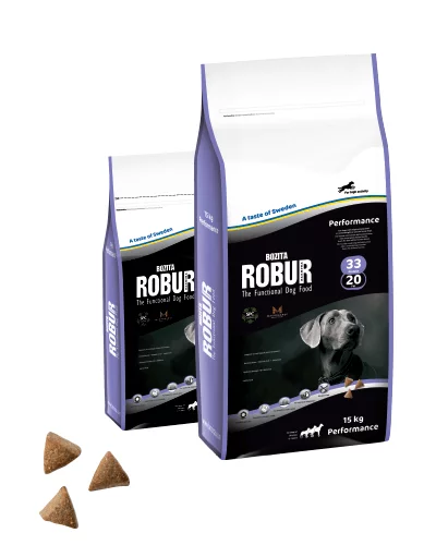Robur Hund Perfomance