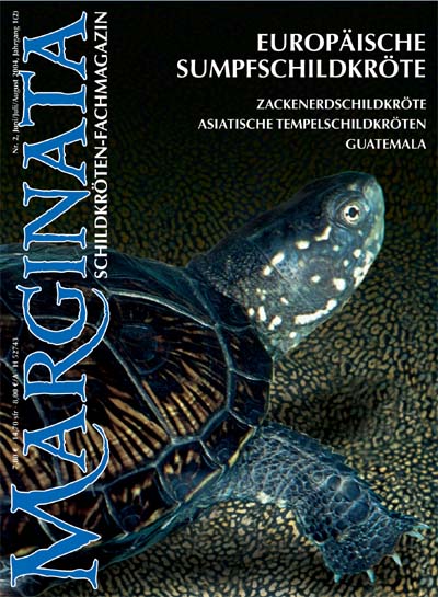 Marginata 02 - Europäische Sumpfschildkröte
