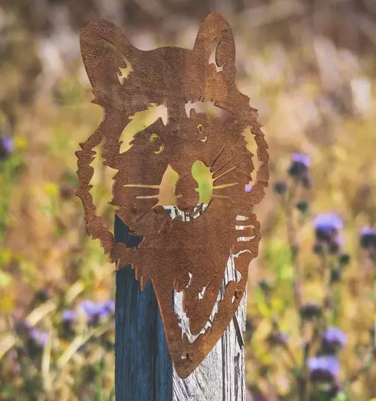 Tiersilhouetten Waschbär