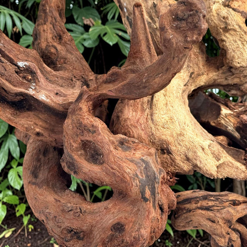 Worn Wood M