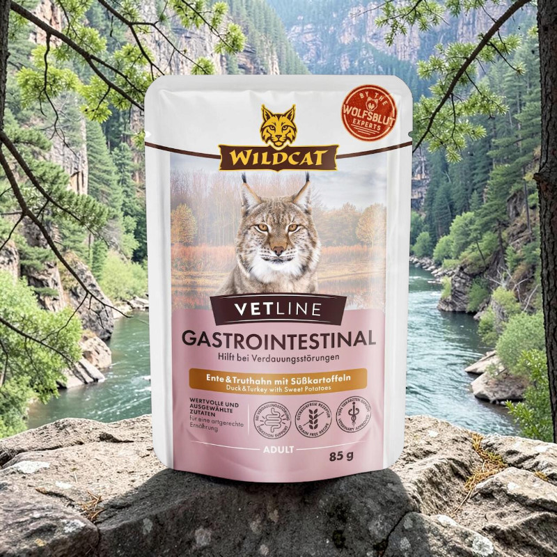 White food packet featuring Wildcat Vetline Gastrointestinal with a lynx on a rock. Advertised as ‘Duck & Turkey with Sweet Potatoes’ and ‘Helps with digestive problems’. Behind it, a river in a wooded mountain valley.