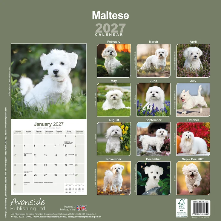 Kalender 2027 Malteser - Maltese
