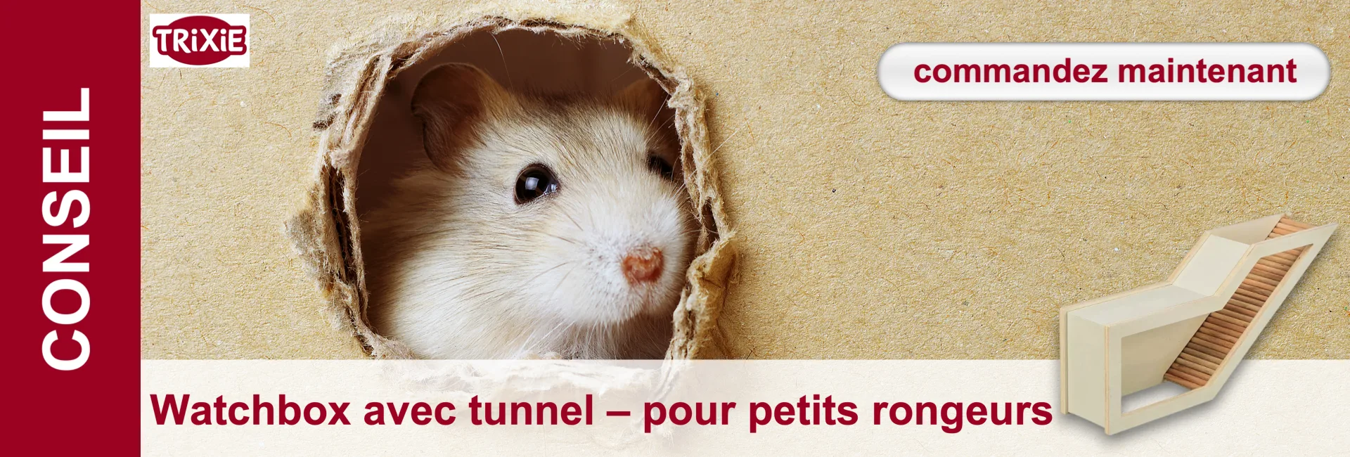 Un petit hamster crème regarde curieusement, yeux sombres scrutant dehors par un trou rond et effiloché dans un carton beige. Tête et avant du corps visibles. En bas à droite : croquis d’une cage claire avec tunnel et rampe.