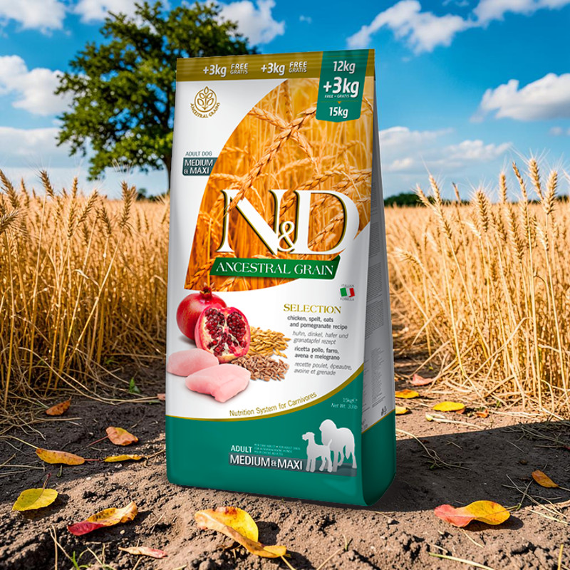 Farmina N&D Ancestral Grain Selection Adult Medium & Maxi mit Huhn, Dinkel, Hafer & Granatapfel