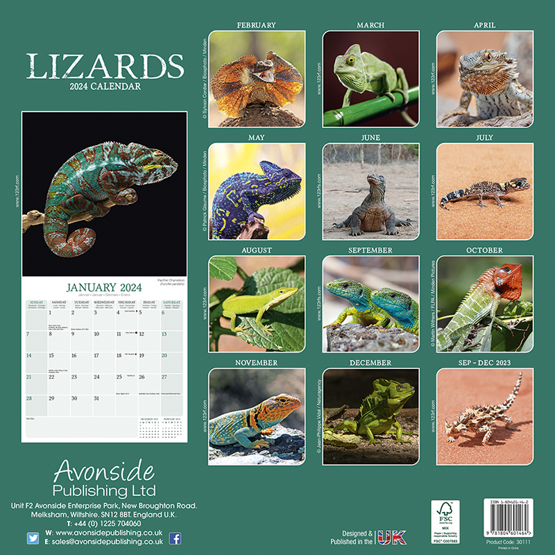 Kalender 2024 Echsen - Lizards