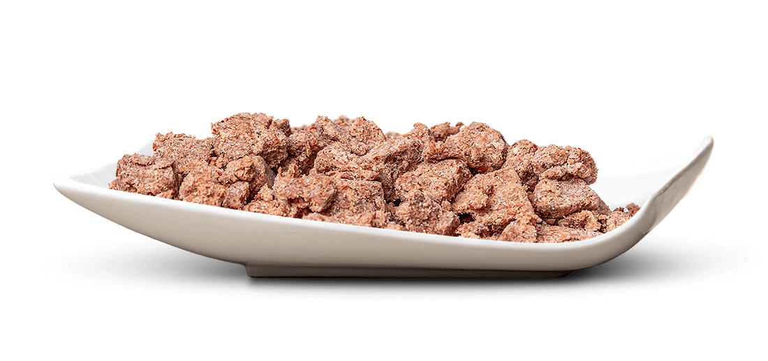 Eine Portion feuchtes Tierfutter, bestehend aus unregelmäßigen, zerkleinerten, rötlich-braunen Brocken mit leicht glänzender Textur, präsentiert in einer flachen, elegant geschwungenen weißen Schale auf einem strahlend weißen Hintergrund.