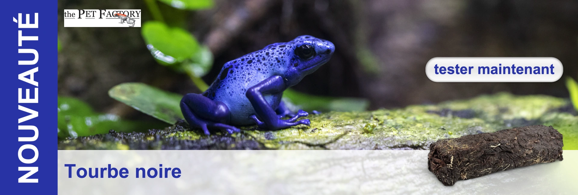 Grenouille arboricole bleue sur une branche avec de la mousse, à côté d'un bloc de tourbe. Texte : "Nouveaute - Torbe noire - tester maintenant".