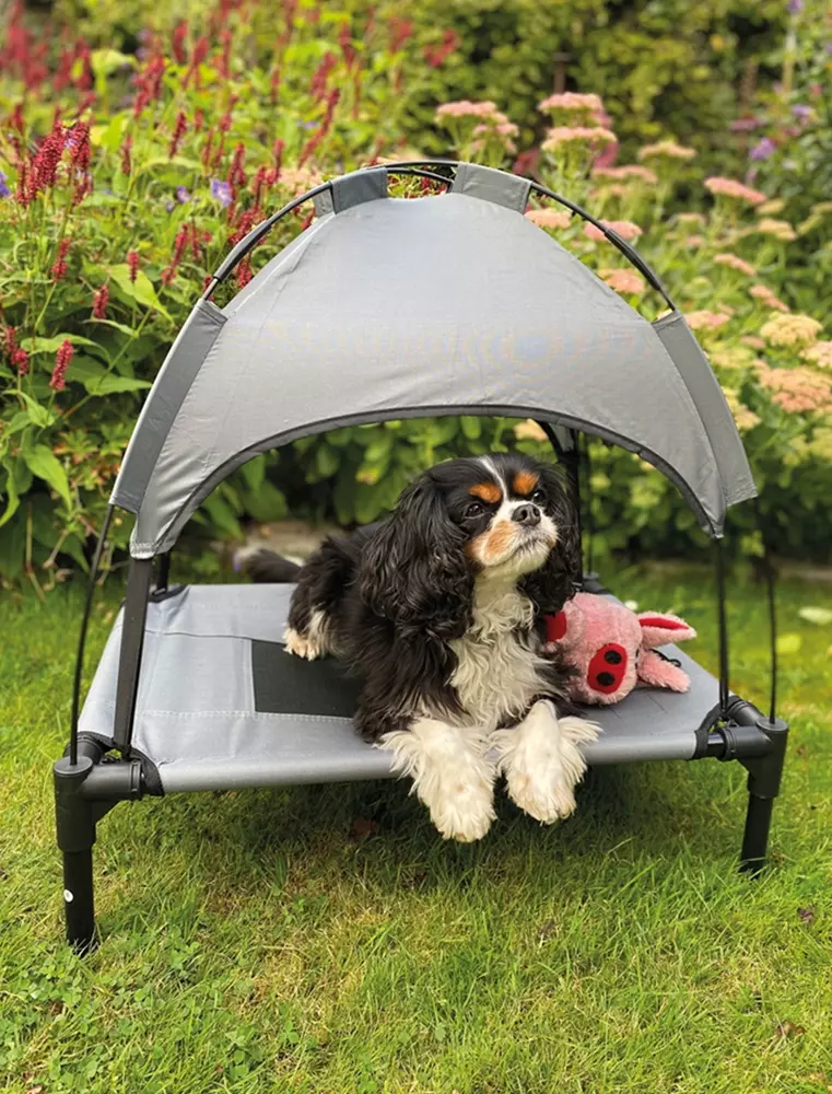 Nobby Lounge Sessel