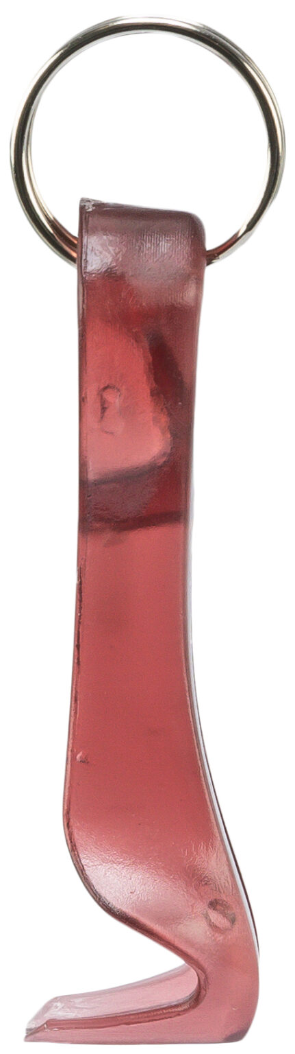 Estrattore di zecche rosso e trasparente con anello portachiavi. L'estrattore di zecche ha una punta a forma di gancio.