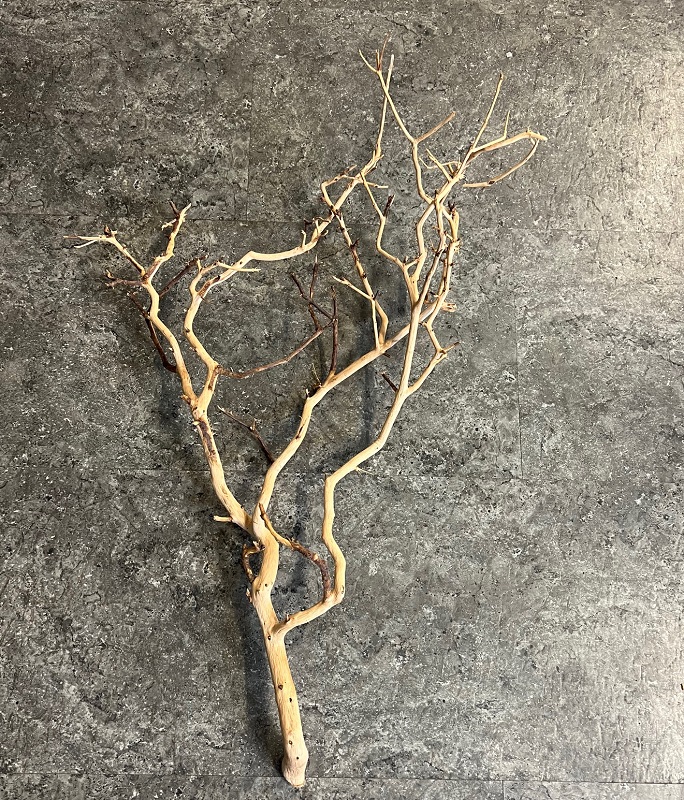 Ein trockener, heller Ast mit dünnen Zweigen liegt auf einem grauen, gefleckten Untergrund.