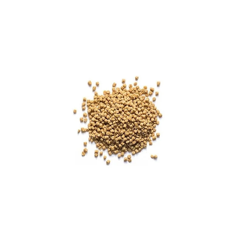 Piccoli pellet cubici di colore marrone chiaro sono disposti al centro su uno sfondo bianco. I granuli sono ravvicinati tra loro, mentre alcuni sono sparsi liberamente attorno alla pila principale, creando un'immagine chiara e minimalista.