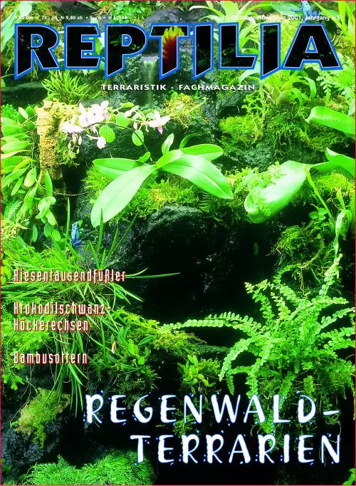 Reptilia 31 - Regenwaldterrarien