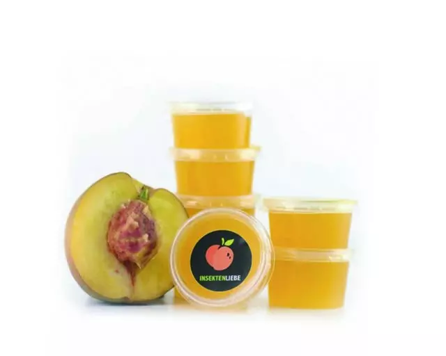 Gelée de scarabées Pfirsisch