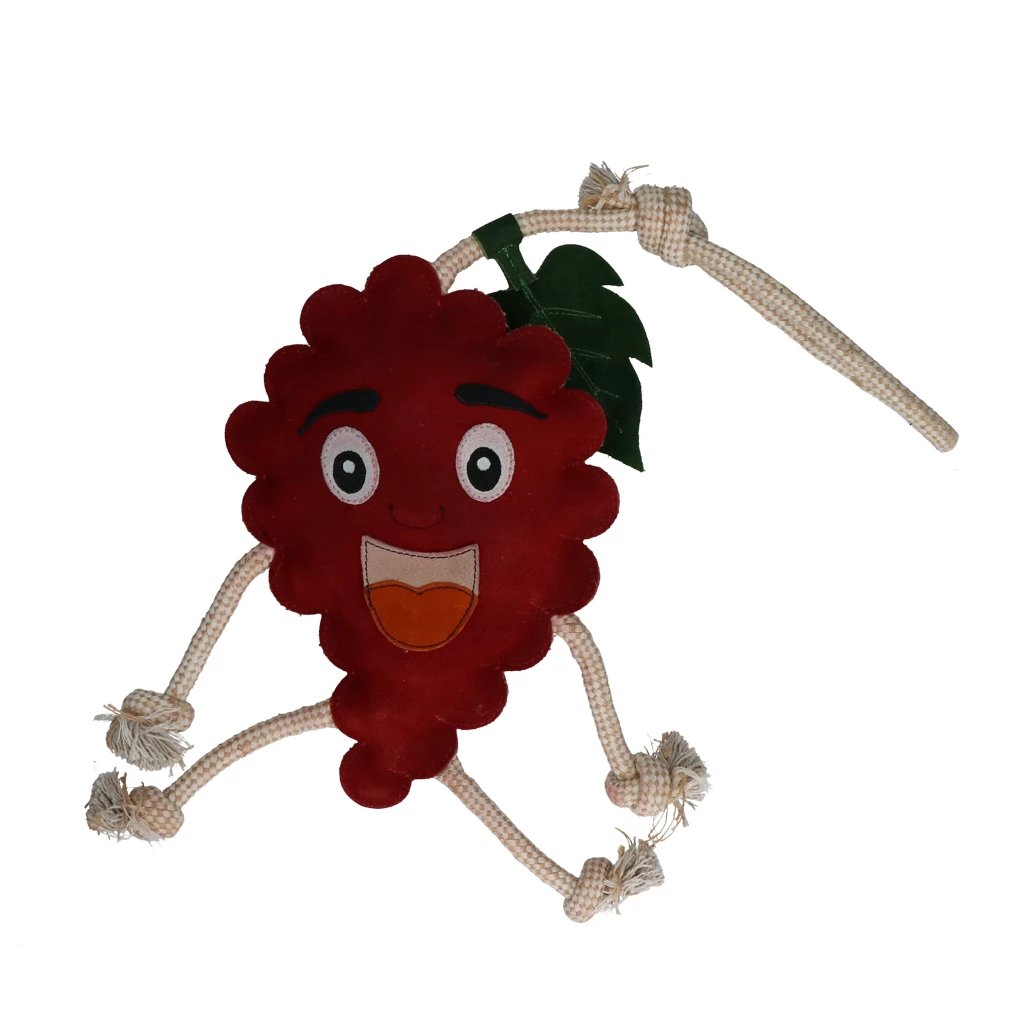 Frucht Freunde Apfel