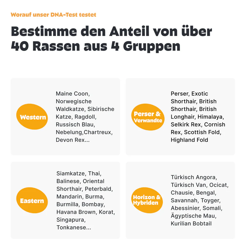DNA-Test Rassenbestimmung für Katzen
