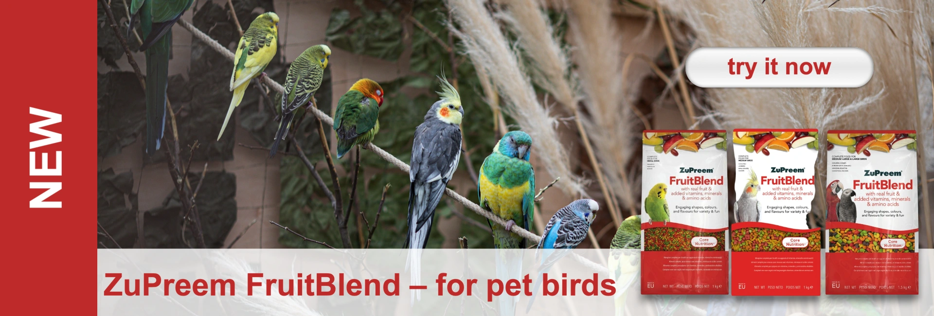 Colourful parrots and parakeets perch on branches with blurred tall grass behind. Right: three ZuPreem FruitBlend bird food packets. Left: “NEW”. Top right: “try it now” button. Bottom: “ZuPreem FruitBlend – for pet birds”.