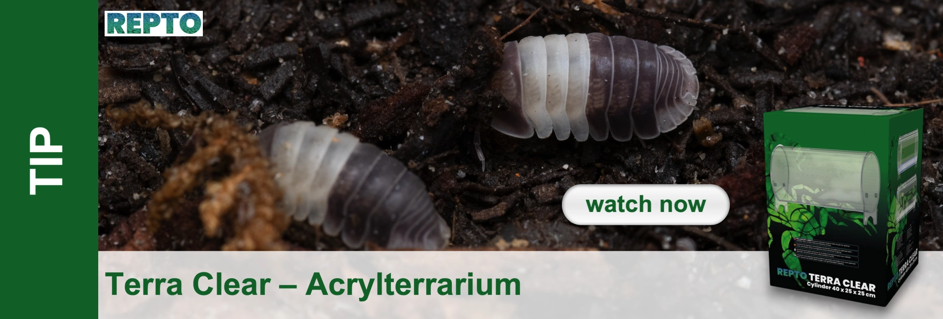 A close-up of two woodlice on dark, damp soil, showing details of their segmented, white and dark brown bodies. In the foreground is a slightly obscured woodlouse, with another behind it. On the right is a green packet for ‘ Repto ’ Terra Clear.